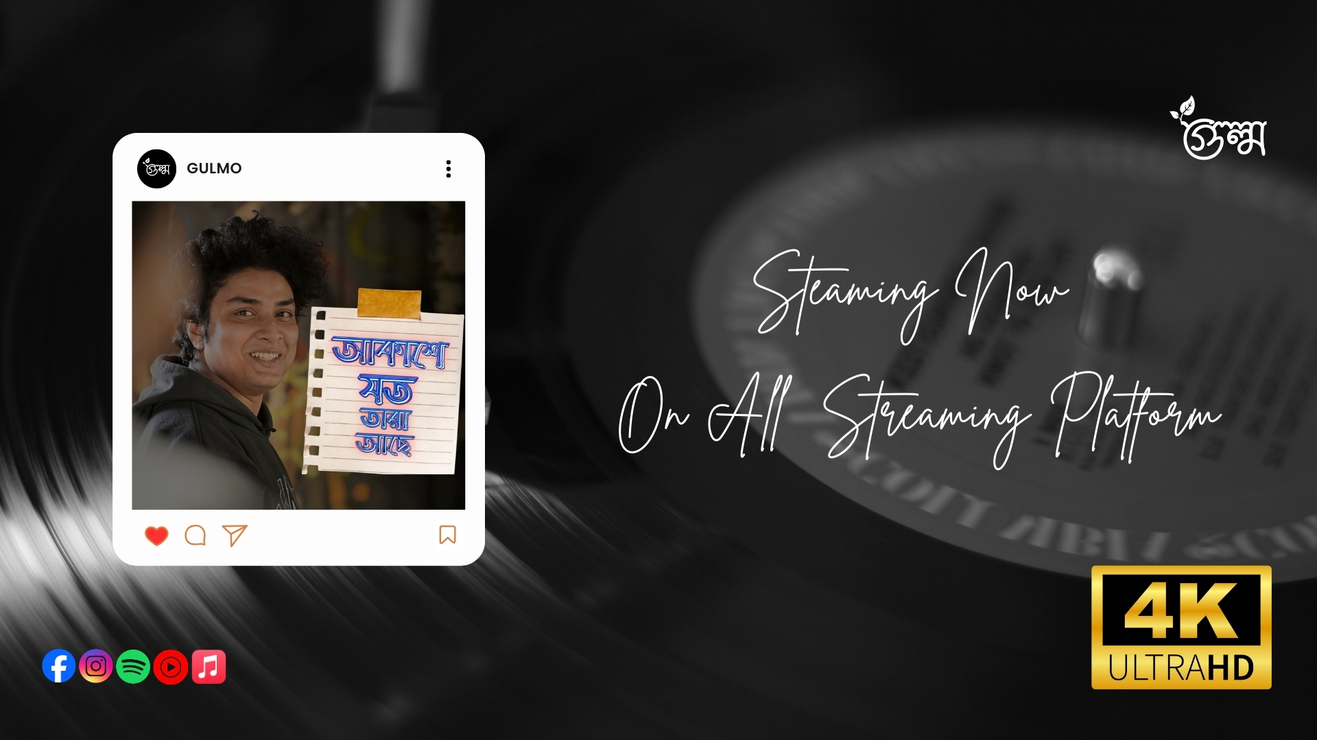 Gulmo spotlight Song